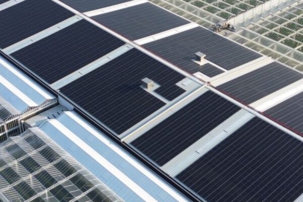 Schenkeveld tomaten investeert in 5642 zonnepanelen Schenkeveld tomaten investeert in 5642 zonnepanelen